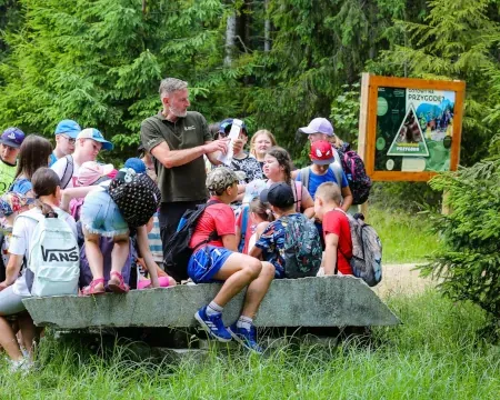 Outdoor game for school groups and families