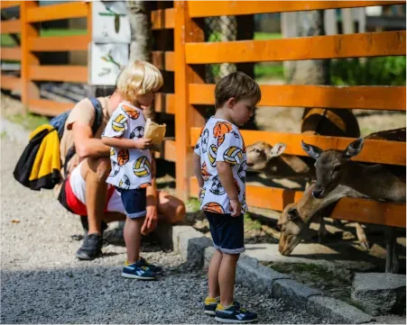 Feeding the animals