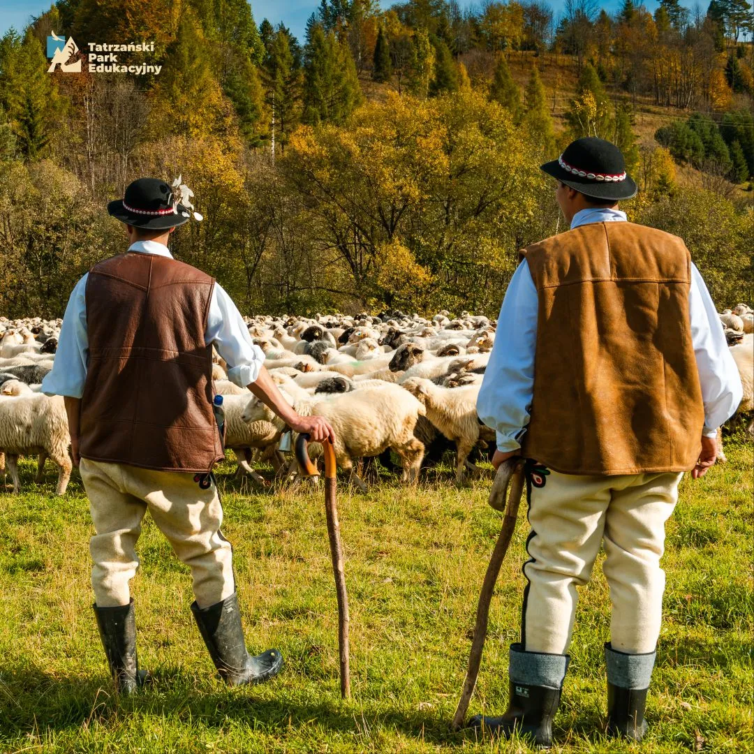 Historia Podhala i Zakopanego, skąd się wzięli górale w Tatrach