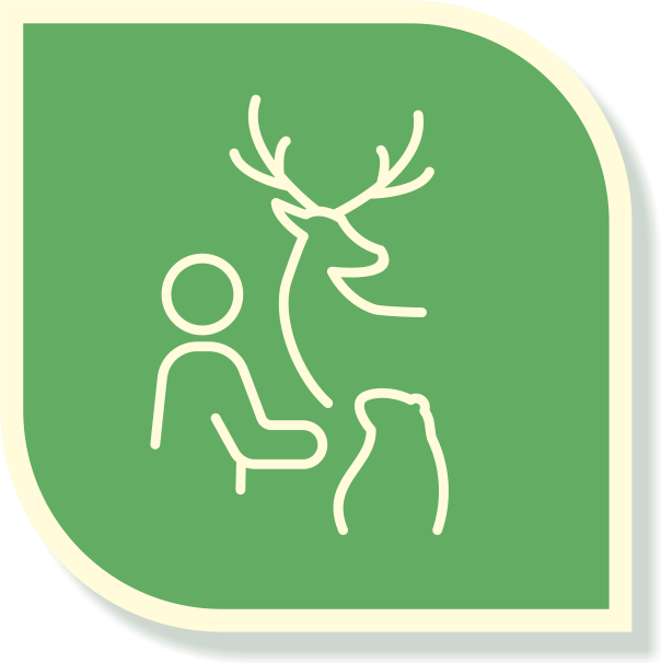 Animals